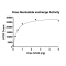 Kras G12A Nucleotide Exchange Assay Kit